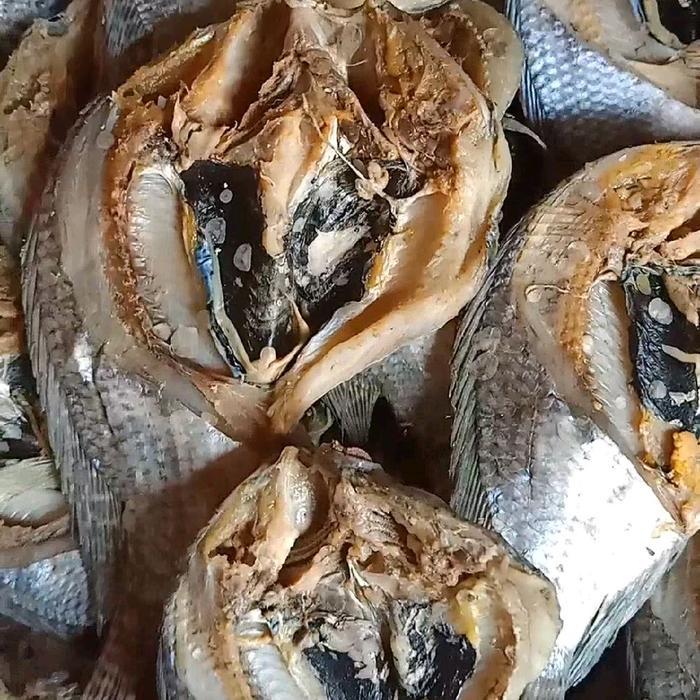 News IKAN ASIN MUJAIR HARGA TERMURAH