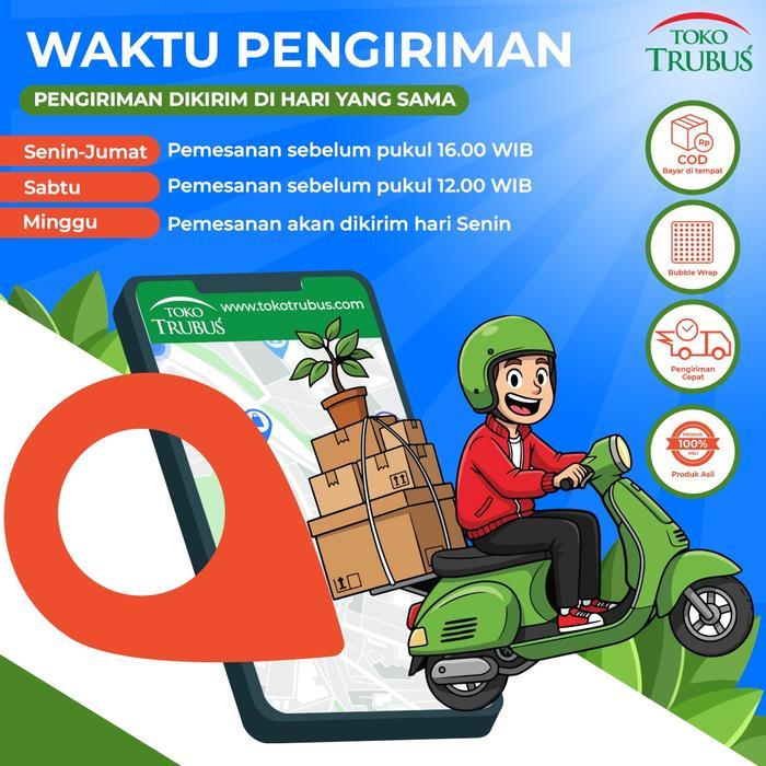 TRUBUS - PUPUK ORGANIK NAFOS