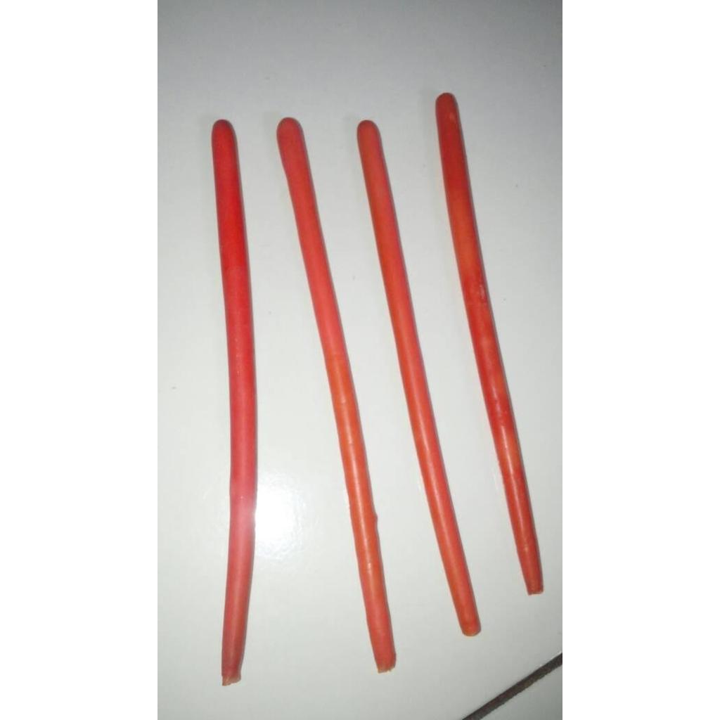 TABUNG REAKSI PYREX DIAMETER 30MM PLUS TUTUP KARET PENGHUBUNG