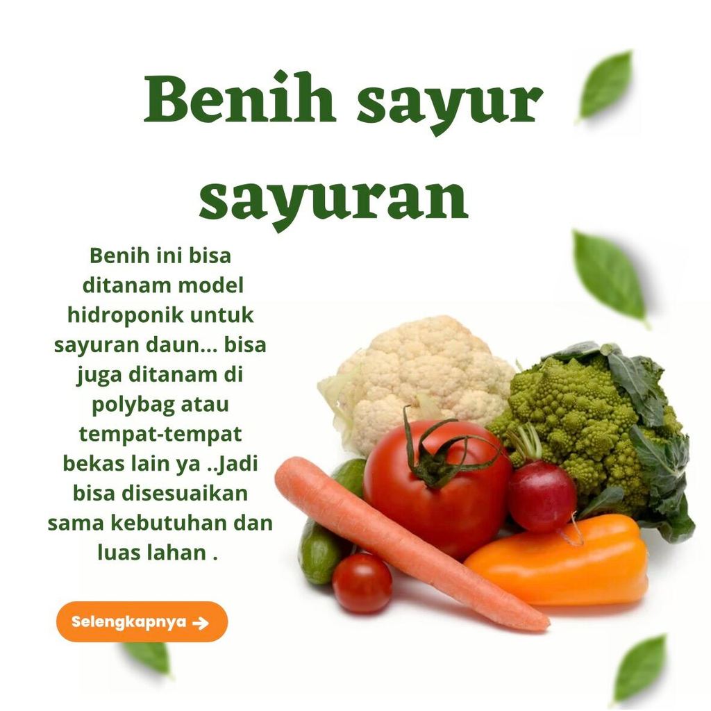 Bibit Sayuran Benih Sayur Sayuran Paket Lengkap Tanaman Hidroponik Kangkung Bayam Brokoli Cabe Rawit