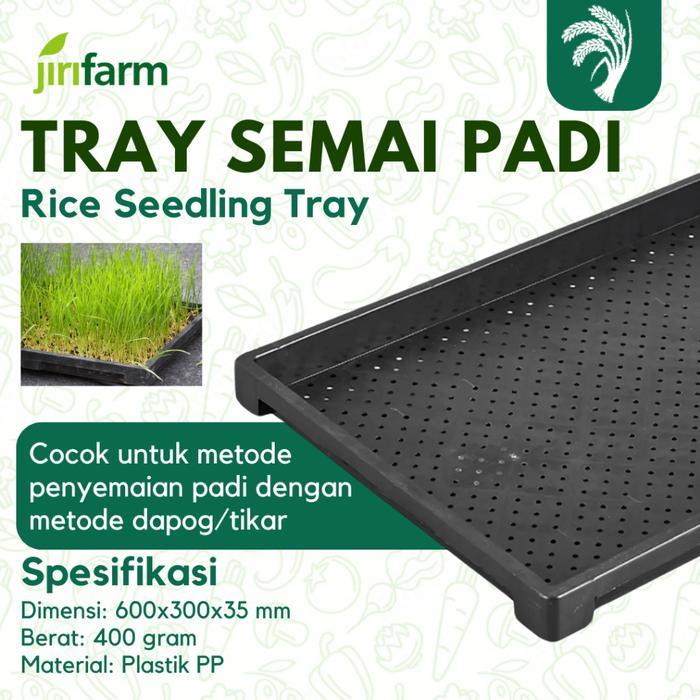 JIRIFARM - Tray Semai Padi Pot Bibit Pembibitan Rice Paddy Biji Hidroponik