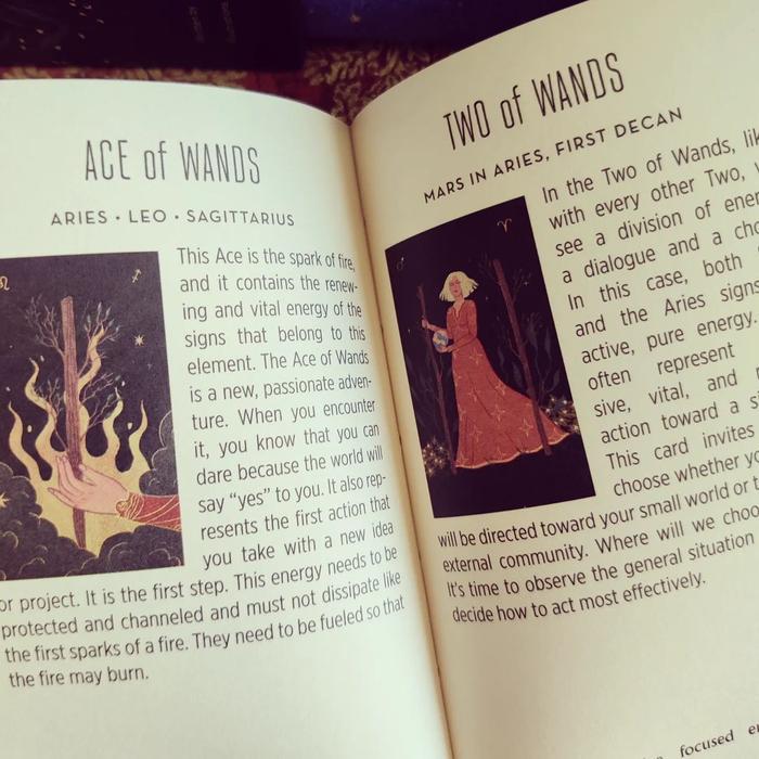 Zodiac Tarot Deck & Book Set By Cecilia Lattari Us Games Tarot Deck Kode 608