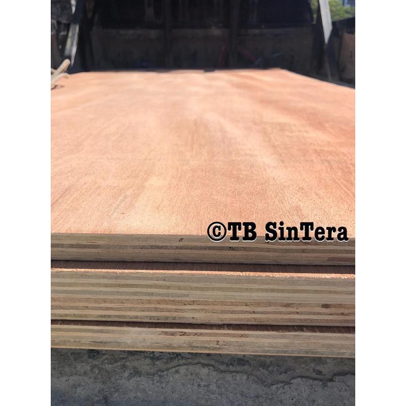 IDXXX- Multi Meranti 4 Mm / Multiplek 4Mm / Triplek 4Ml