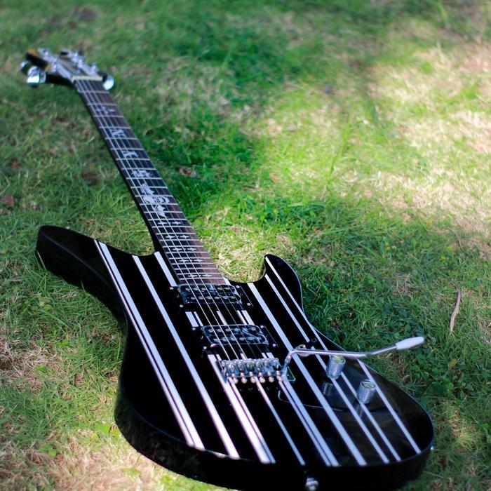 Gitar Listrik Shecter Diamond Series