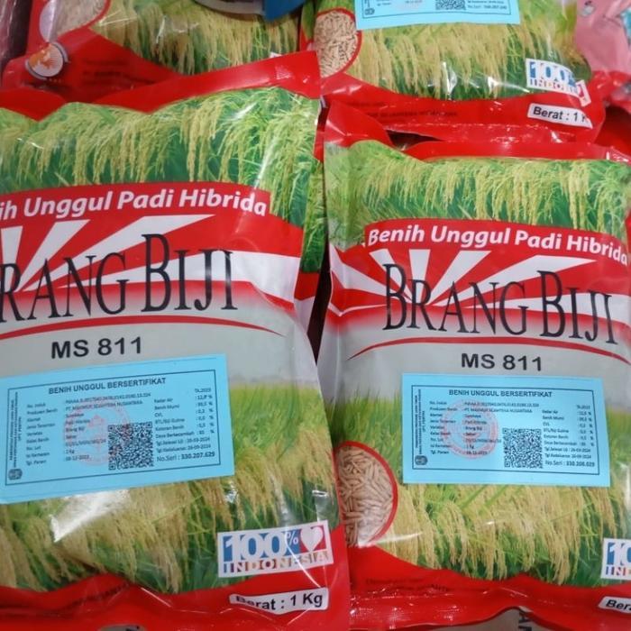 BENIH PADI HIBRIDA VARITAS BRANG BIJI BIBIT PADI UNGGUL KEMASAN 1 KG