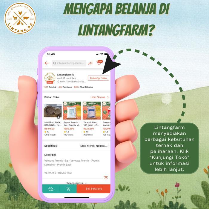 OBM TETES MATA HEWAN - OBM OBAT TETES MATA HEWAN - OBM TETES MATA AYAM