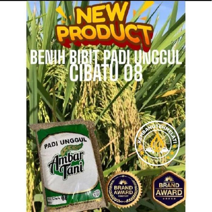 BIBIT PADI BENIH PADI UNGGUL CIBATU 08 ORIGINAL KEMASAN 5KG