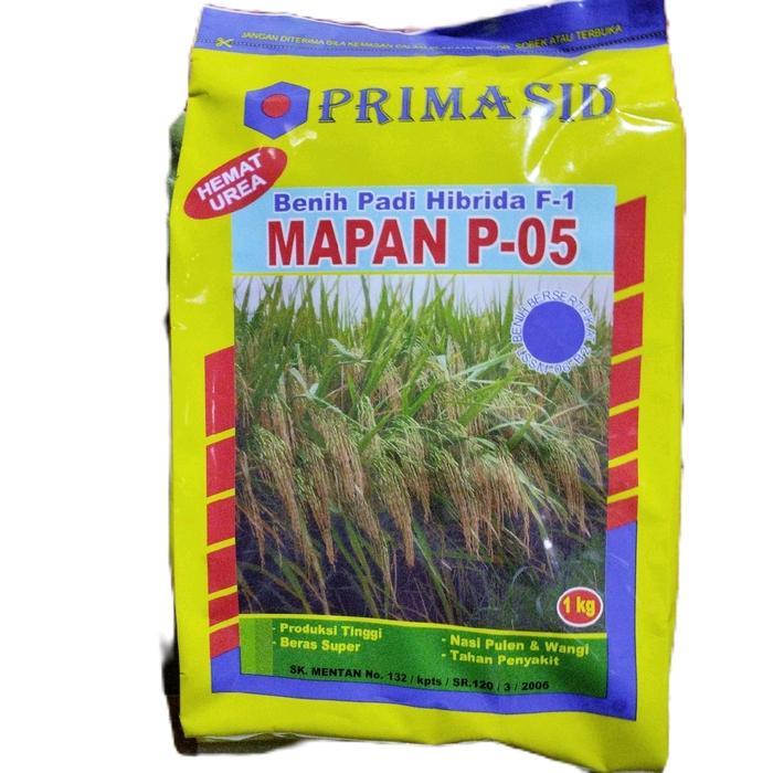 Bibit Padi Hibrida Mapan 05 Asli - Potensi Hasil Tinggi & Tahan Hama - Tanaman, Hijau, Kuning, Daun