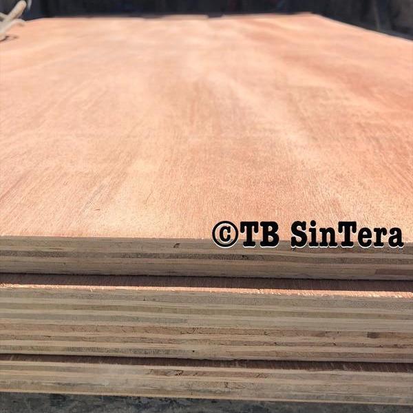 IDXXX- Multi Meranti 18 Mm Export / Multiplek 18Mm / Triplek 18Ml