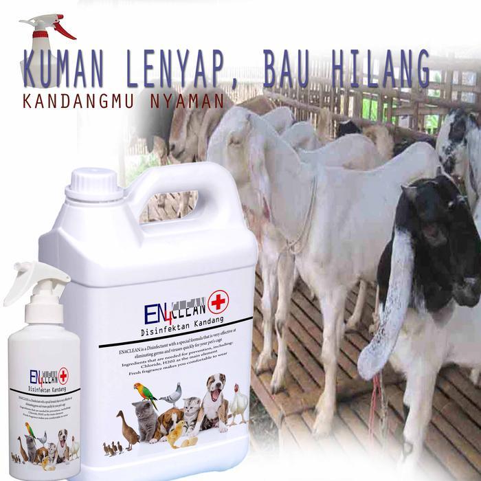 EN4 CLEAN DISINFEKTAN KANDANG KAMBING 500ML SAMPAI 5LITER
