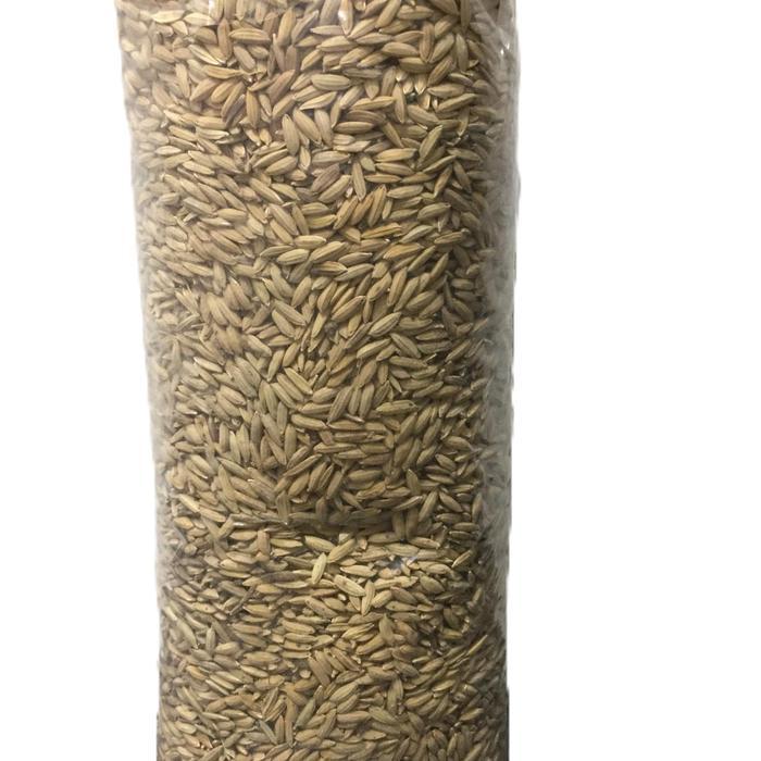 GABAH MERAH - GABAH ISI MERAH - PAKAN AYAM - MAKANAN AYAM