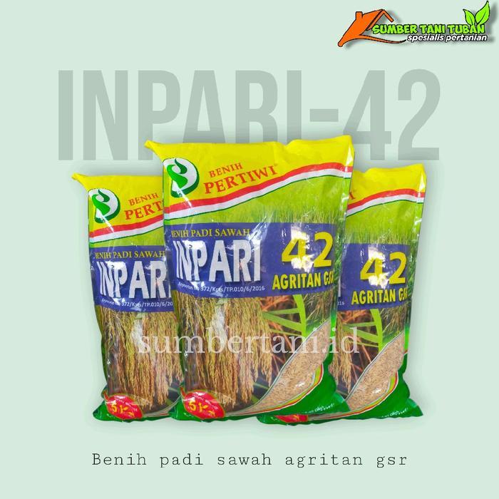 Benih padi hibrida INPARI-42 pertiwi lebih tahan hawar daun (kemasan 5.kg)