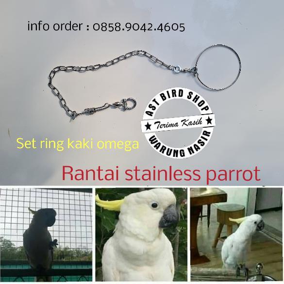 Rantai stainless burung parrot large kaki ring omega