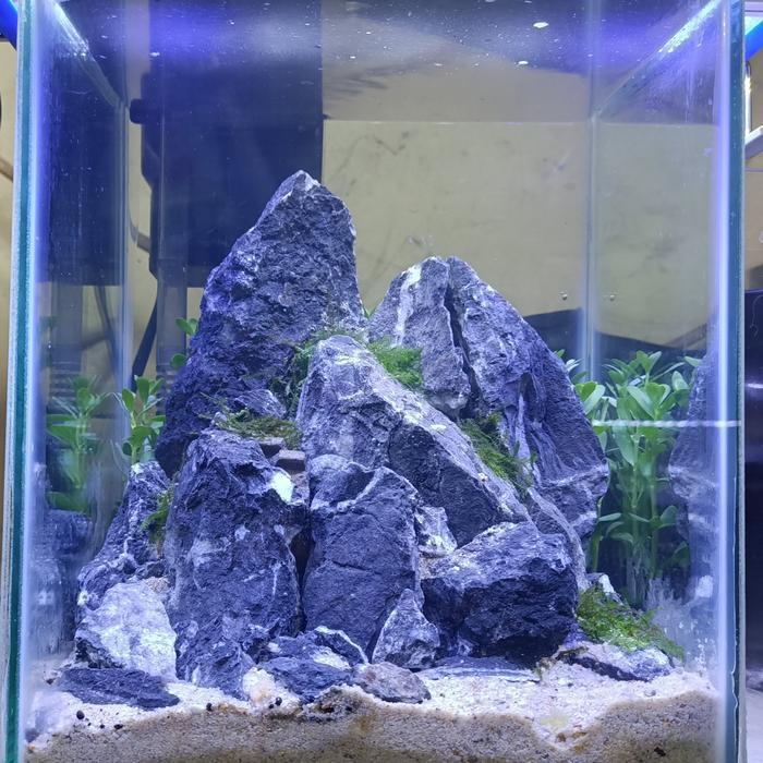 Hardscape Aquascape Mini Cupang # 2