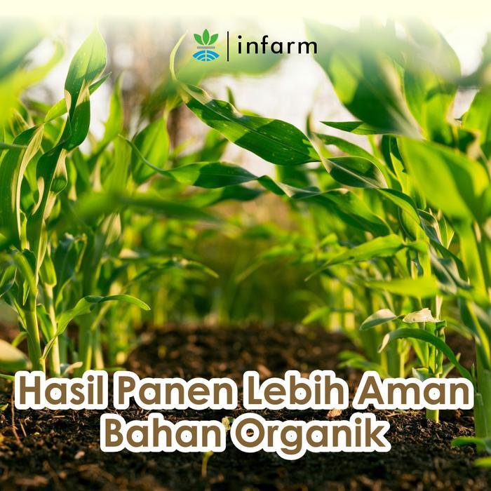 Infarm - Pupuk Organik Cair Tanaman Daun / Sayur 500Ml Poc Kompos Pupuk Infarm Pupuk Sayur Daun
