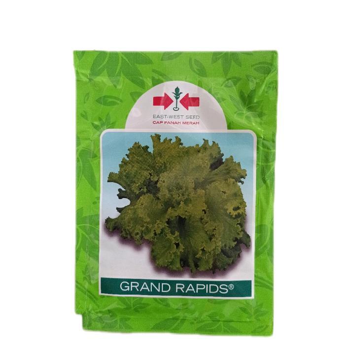 FARM- Benih Selada Grand Rapids Panah Merah/ Benih Selada 15G