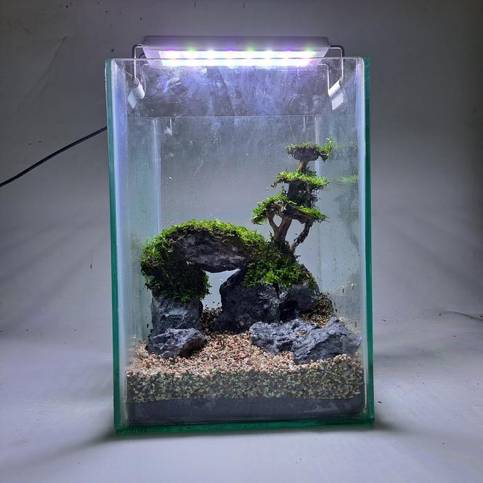 Aquarium Aquascape Mini Cupang # 39