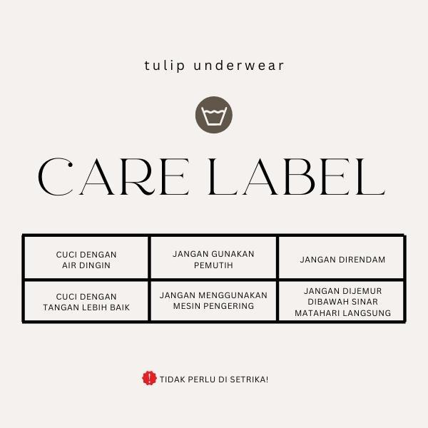 Tulip By Christine Zola Seamless Panty Bundling 4Pcs - Cpy-11719