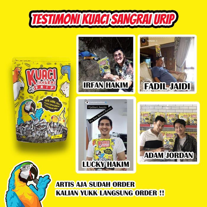 BRIDTIS- Kuaci Sangrai Super Jumbo Untuk Burung Kakatua Macaw Afgrey Amazon
