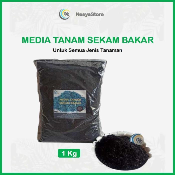 Sekam Bakar Sekam Mentah Media Tanam Sekam Arang Sekam Bakar 500 gram