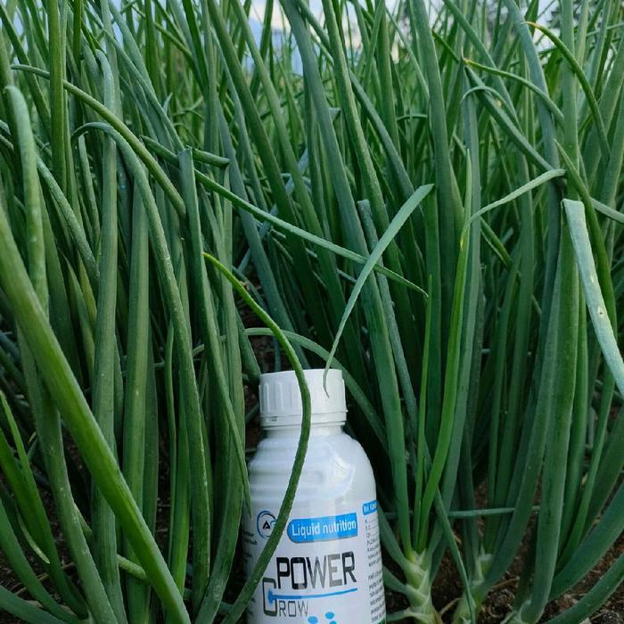 PUPUK DAUN POWER GROW 500ML TANAMAN HIJAU