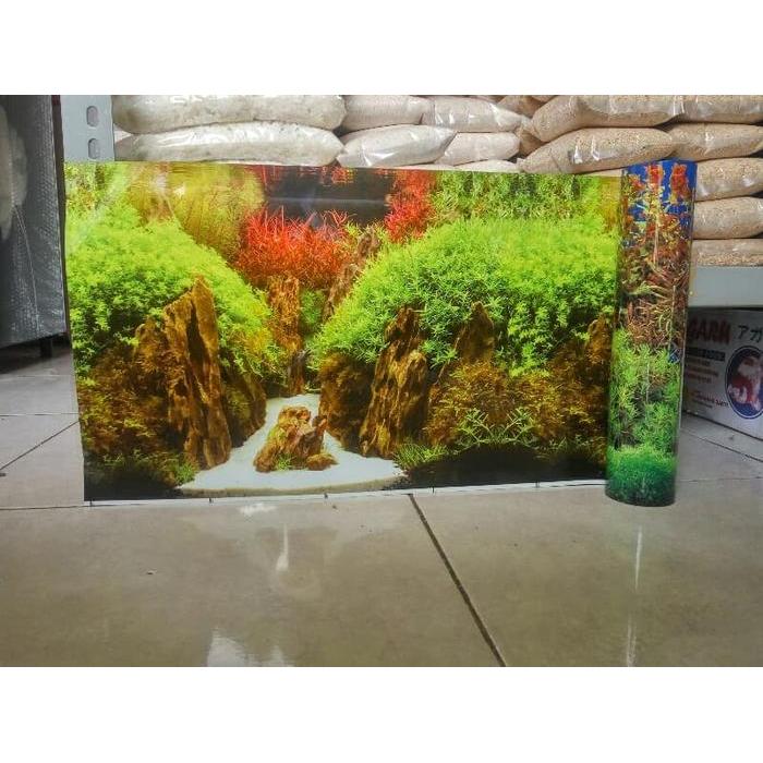 WALPAPER BACKGROUND GAMBAR LATAR BELAKANG AQUARIUM TINGGI 30 CM