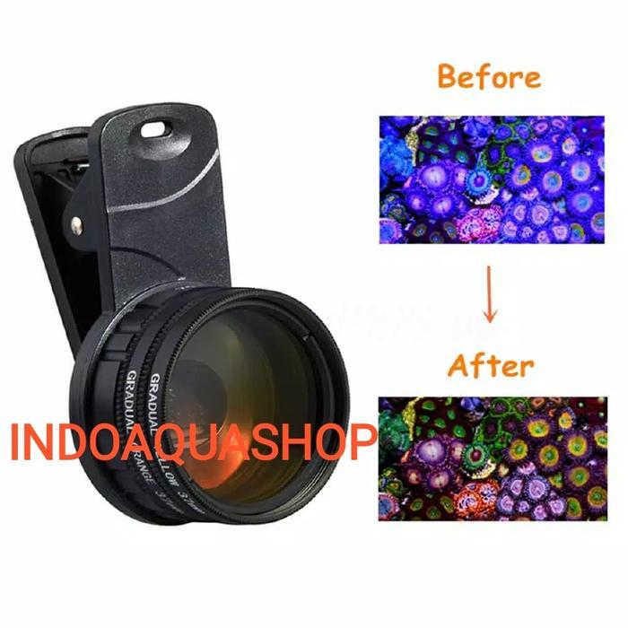 Coral Colour Lens Reef Aquarium / Lensa Coral Aquarium