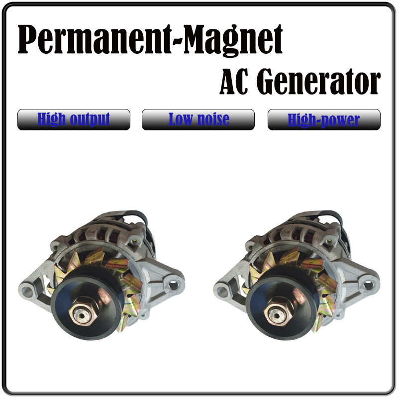 2000W 3000W Permanent Magnet Generator 220V 230V Free Energy Ac Generator Permanent Magnet Constant