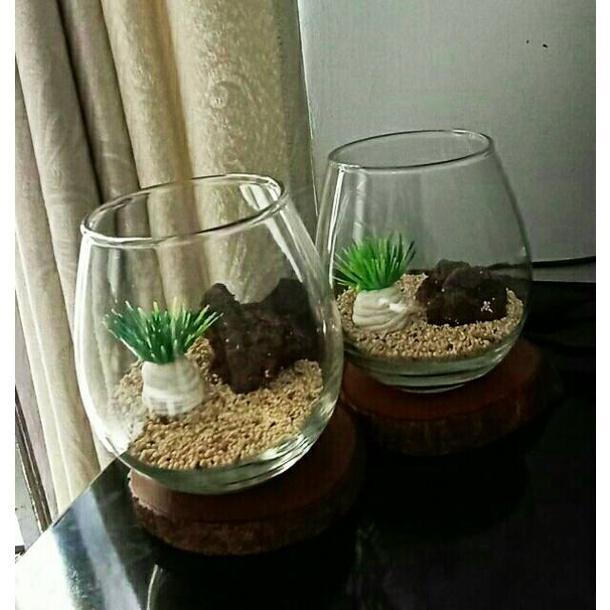 AKUARIUM MINI BULAT AESTHETIC / TANK CUPANG / AQUARIUM GUPPY / AQUASCAPE UNIK