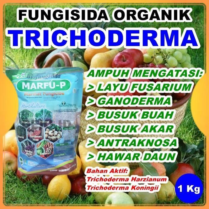 NEWs Tricoderma 1 kg Fungisida Organik Trichoderma Pembasmi Jamur Marfu P