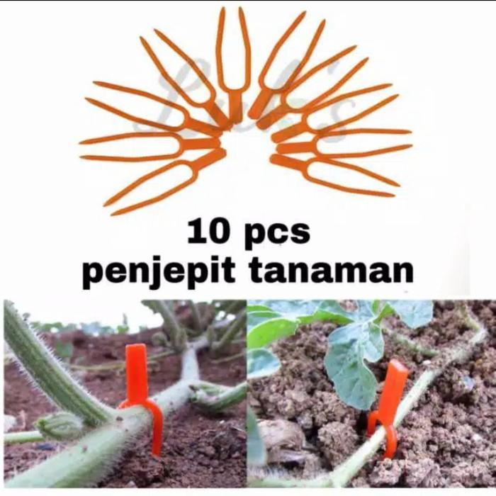 Penjepit tanaman klip tanaman rambat jepit batang rambat