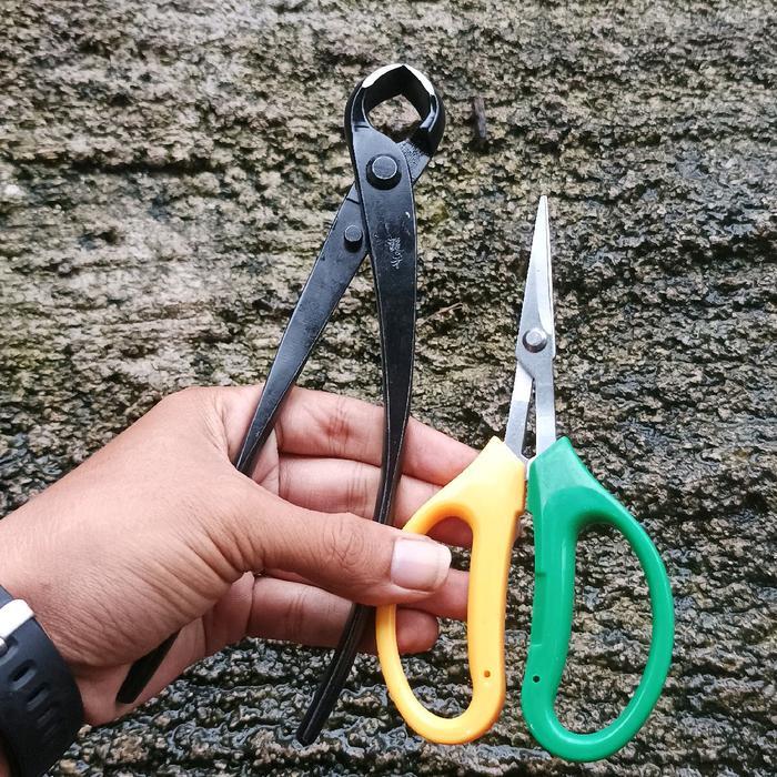 Catok/krekut bonsai ryuga Rc-08 Bonus gunting