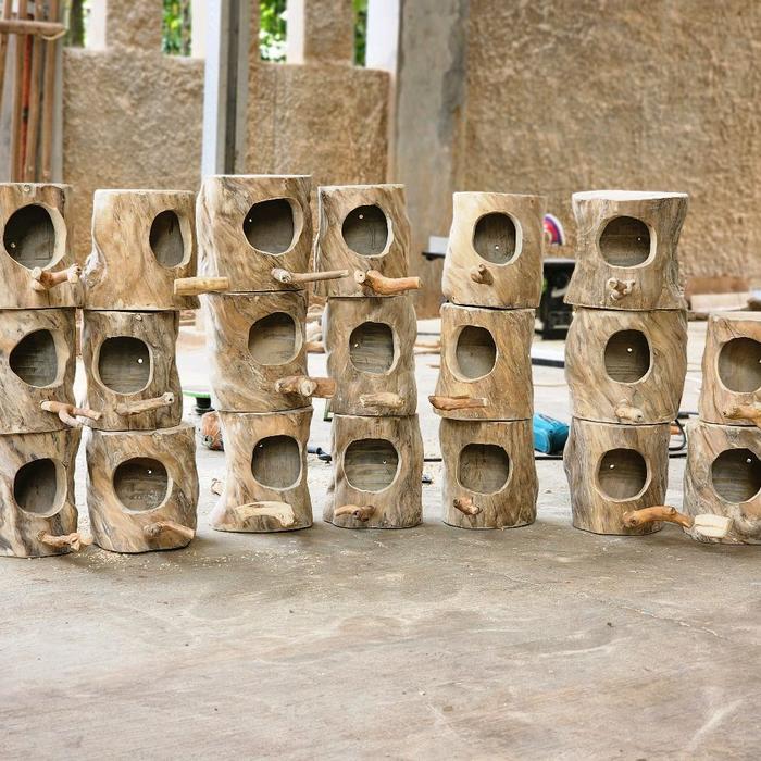 BRIDTIS- Glodok Finch Parkit Glodok Burung Kecil