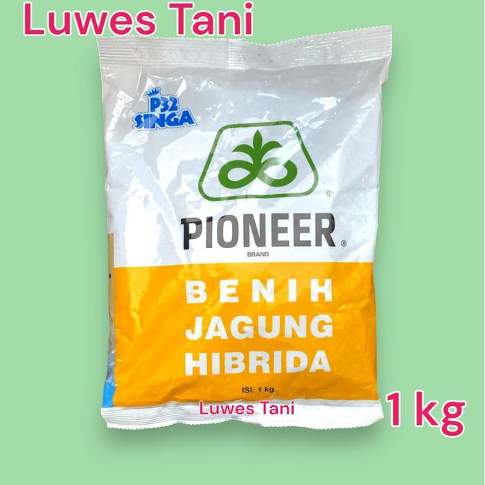 Benih jagung Pioneer P 32 singa 1kg bibit p32 benih jagung