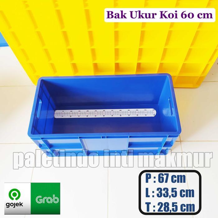 Bak Ukur Ikan Koi 60 Cm Kirim Gojek/ Grab