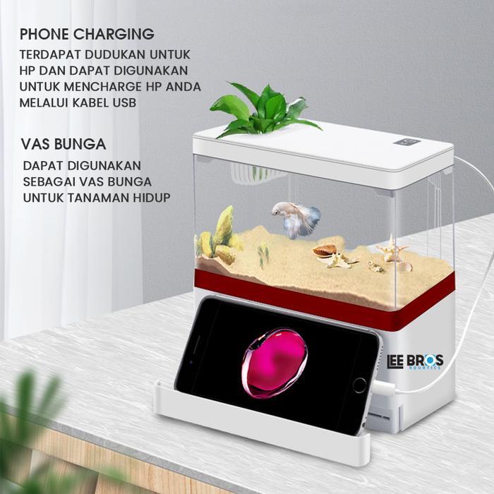 Aquarium Cupang Dengan Filter / Aquarium Cupang