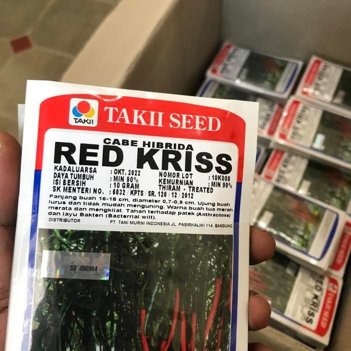 Benih cabe keriting RED KRISS