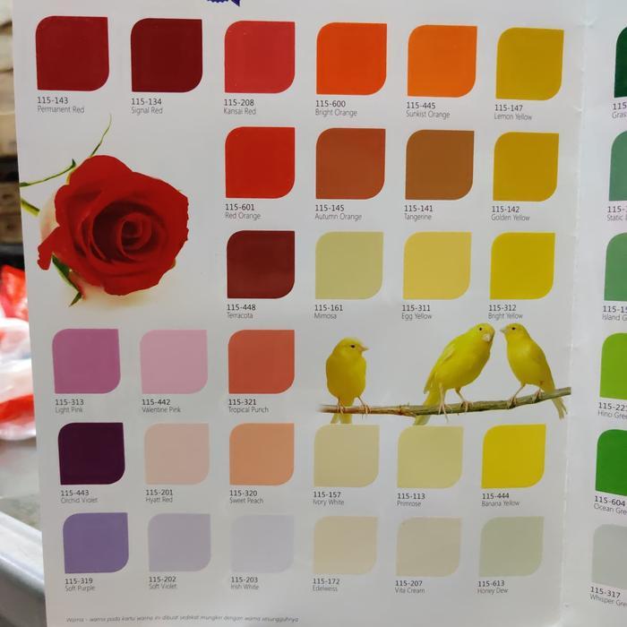 Ftalit / Cat Besi / Cat Minyak / Cat Kayu 1Kg Ftalit