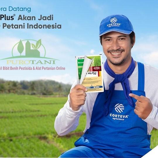 Herbisida Racun Rumput Broadplus Ally Plus 77 Wp Obat Tanaman Padi