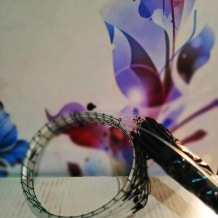 BRIDTIS- Pikat Jerat Ayam Hutan 25 Mata