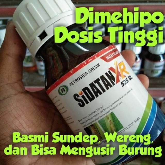 Sidatan XR 525 SL isi 200 ml Pembasmi Sundep / Penggerek Batang dan Wereng