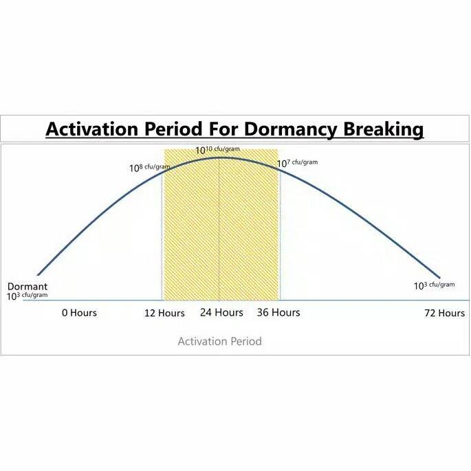Bt Plus - Bio Insektisida - Insektisida Organik - 50 Gram