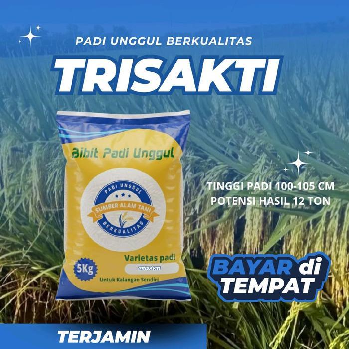 BENIH PADI UNGGUL TRISAKTI KEMASAN 5KG