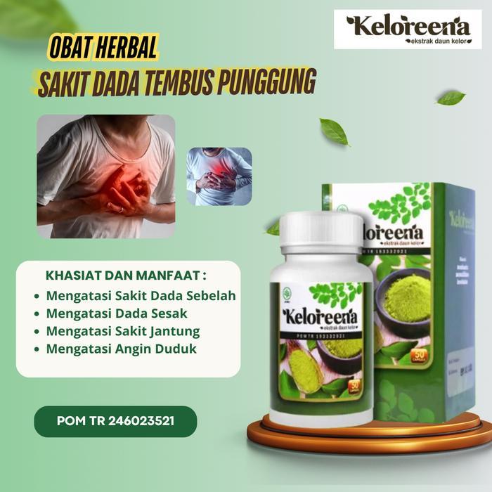 MORNINGGILR- Keloreena - Untuk Sakit Dada Tembus Punggung, Sakit Dada Sebelah Kiri, Sakit Dada