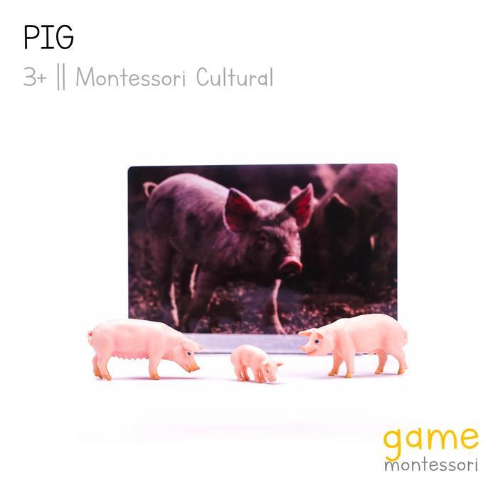 Montessori Cultural Farm Animal Pig