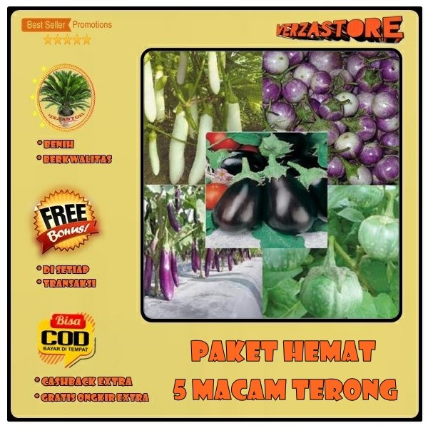 Biji Benih Paket 5 Macam Benih Sayuran Terong F1 Hibrida Bibit Sayur Terong Lalap Ungu Hijau
