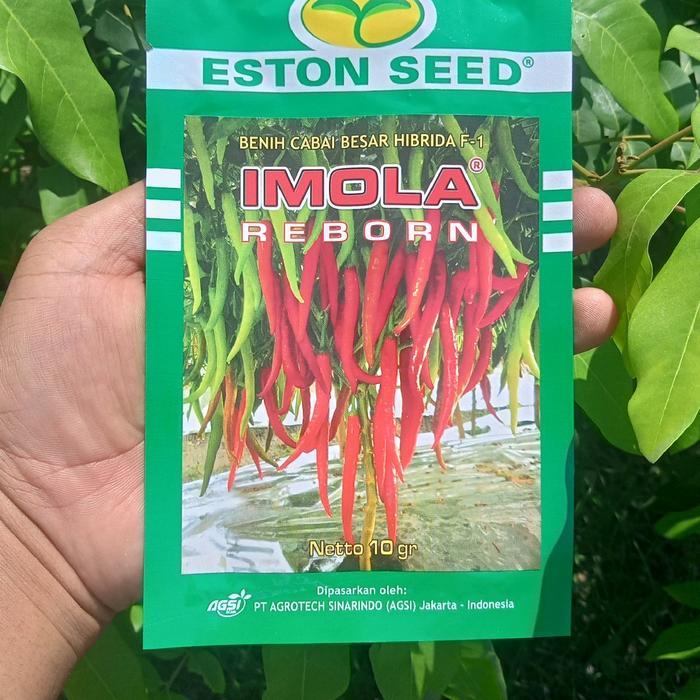 BIBIT/BENIH IMOLA REBORN/NEW CABE BESAR KEMASAN 10 GRAM