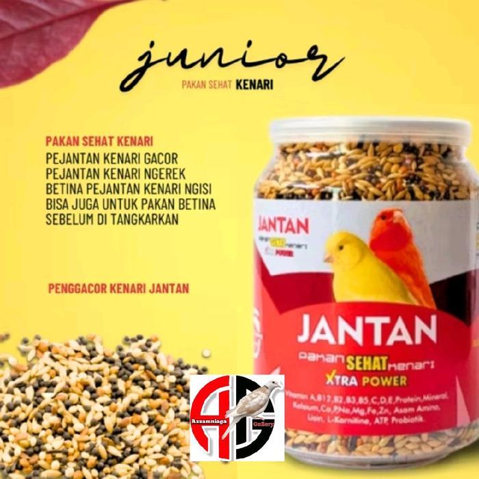 JANTAN PAKAN SEHAT KENARI GACOR CAROLL KENARI