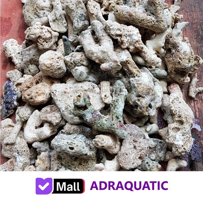 BATU KARANG JAHE BESAR 1KG / 2KG MEDIA FILTER AQUARIUM AQUASCAPE