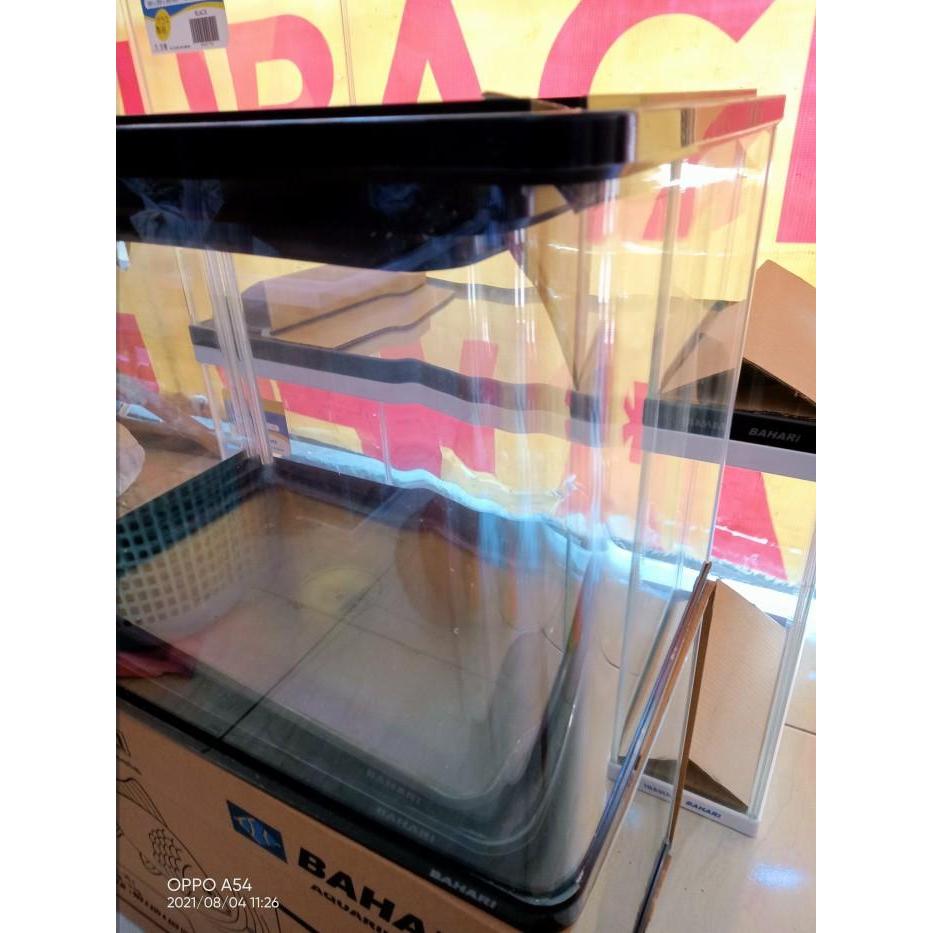 Bahari aquarium lengkung / bending size M